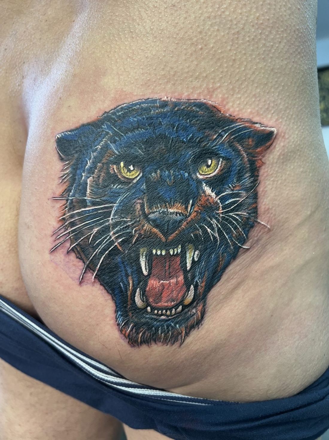Tattoo: Color — Panther