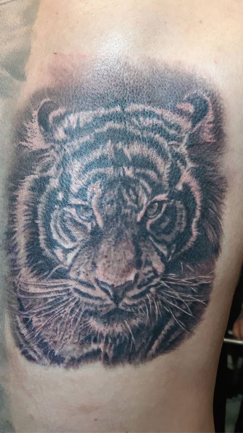 Tattoo: Black & grey — Tiger face